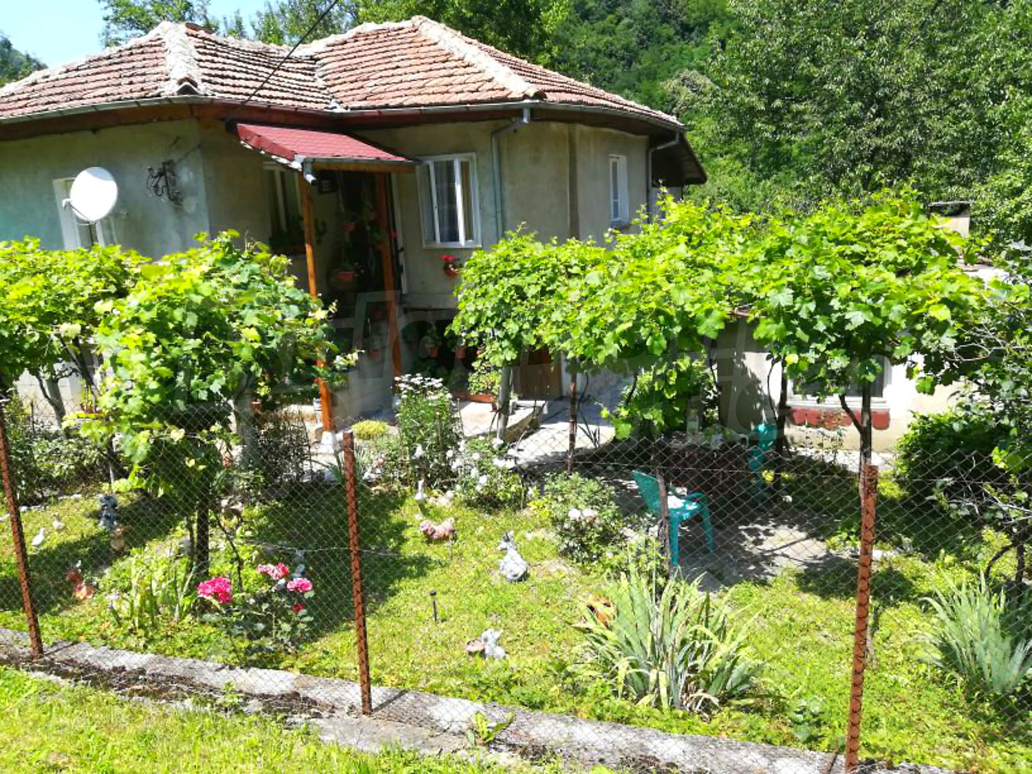 outside, garden