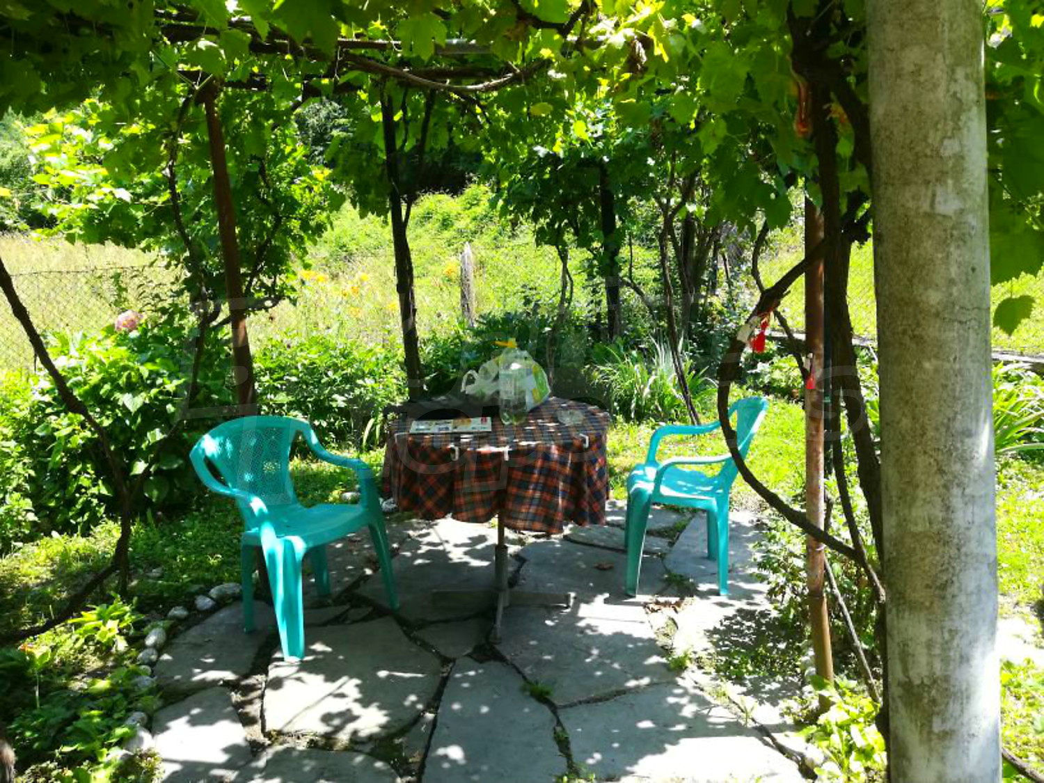 outside, garden, green area