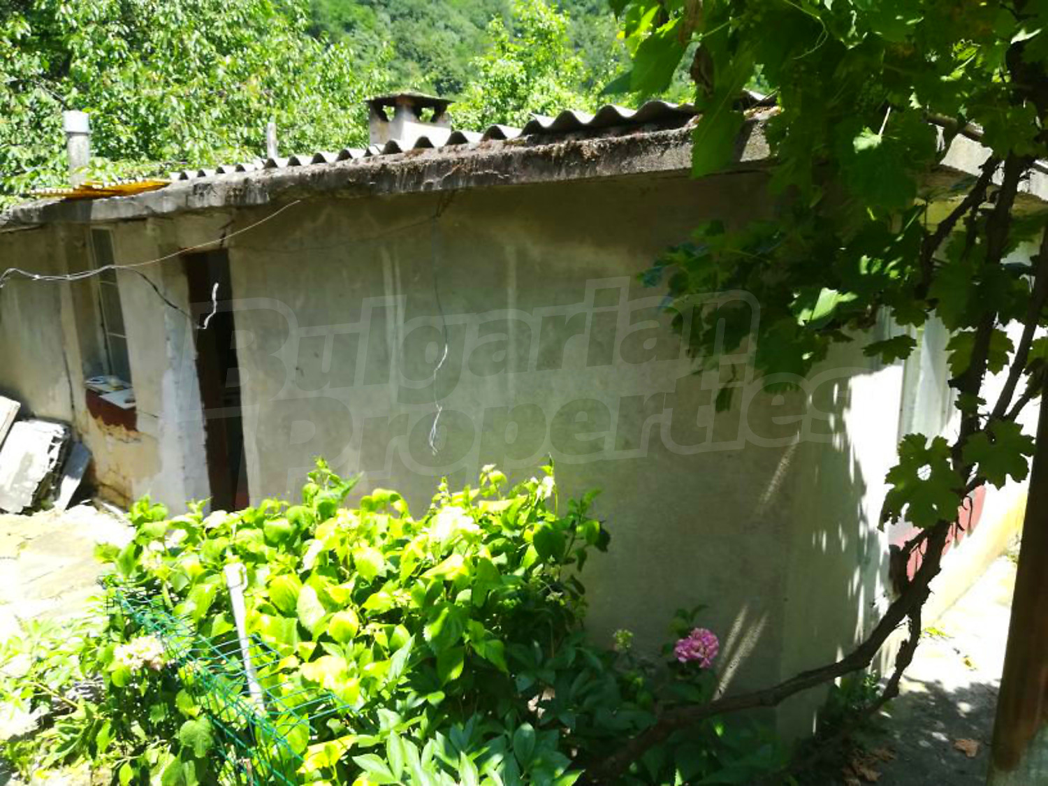outside, facade, garden