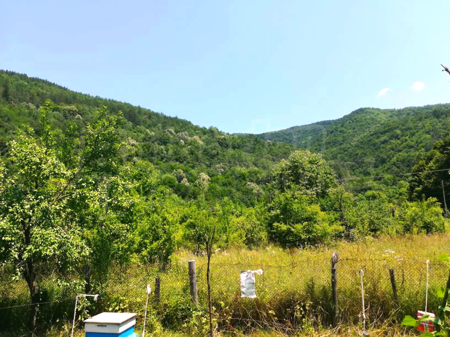outside, mountain, green area