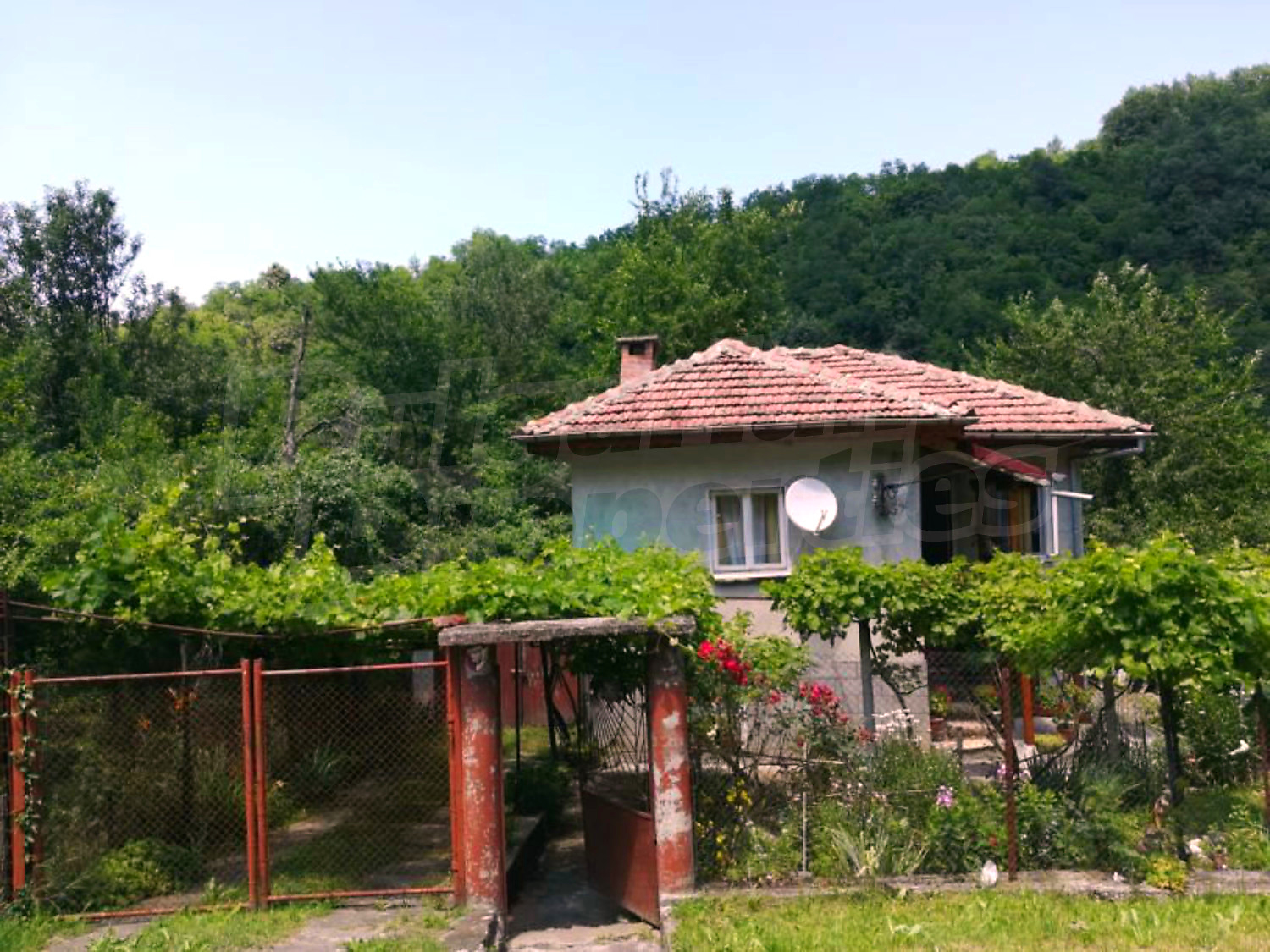 outside, facade, garden, green area