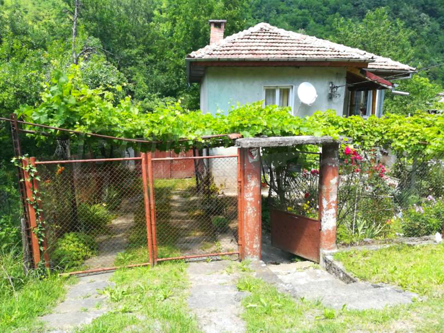 outside, facade, garden, green area