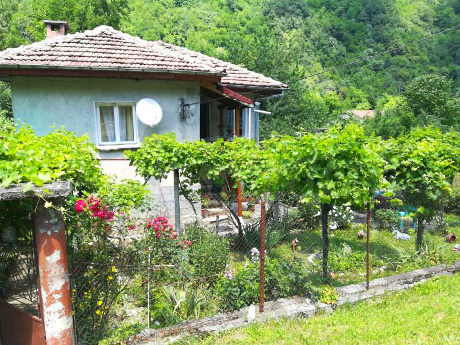 facade, garden, green area, outside