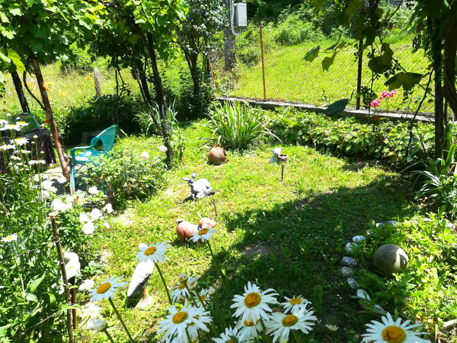 outside, garden, green area