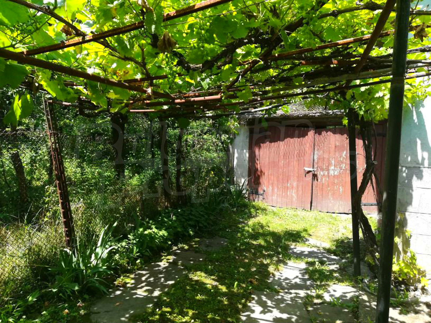 outside, garden