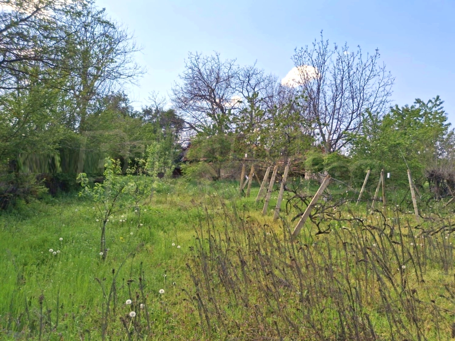 outside, garden, green area