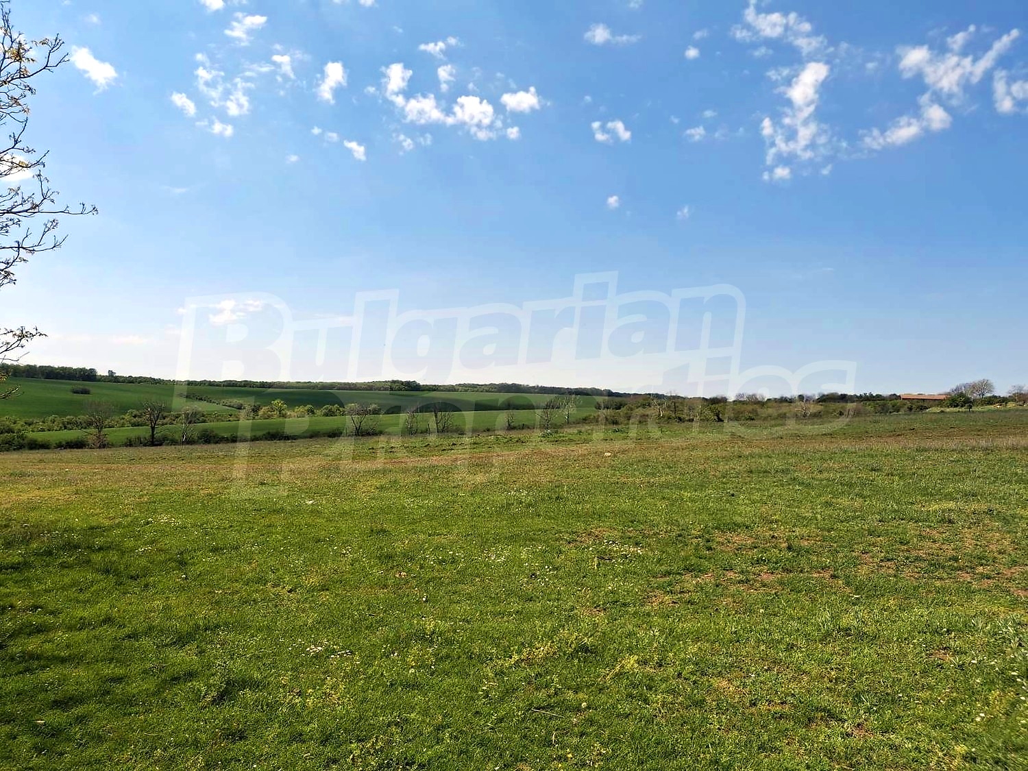 outside, green area