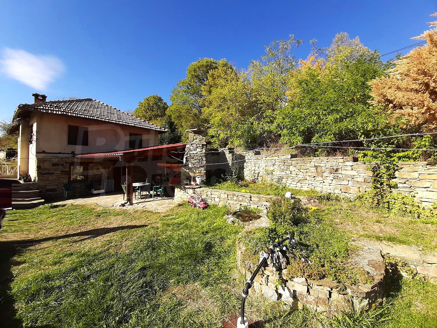 outside, garden