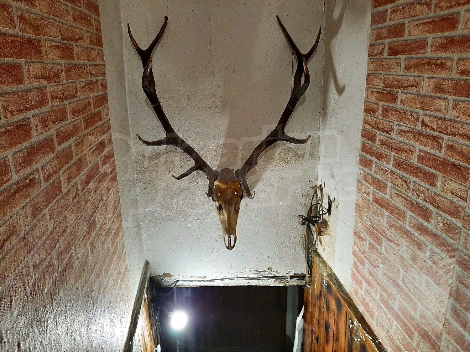 stairs, inside