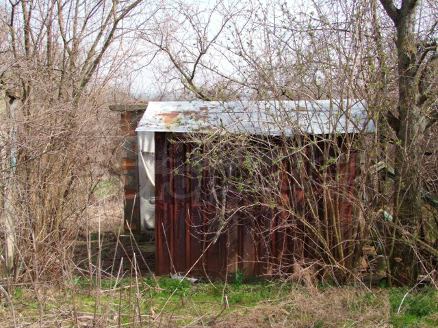 outside, garden
