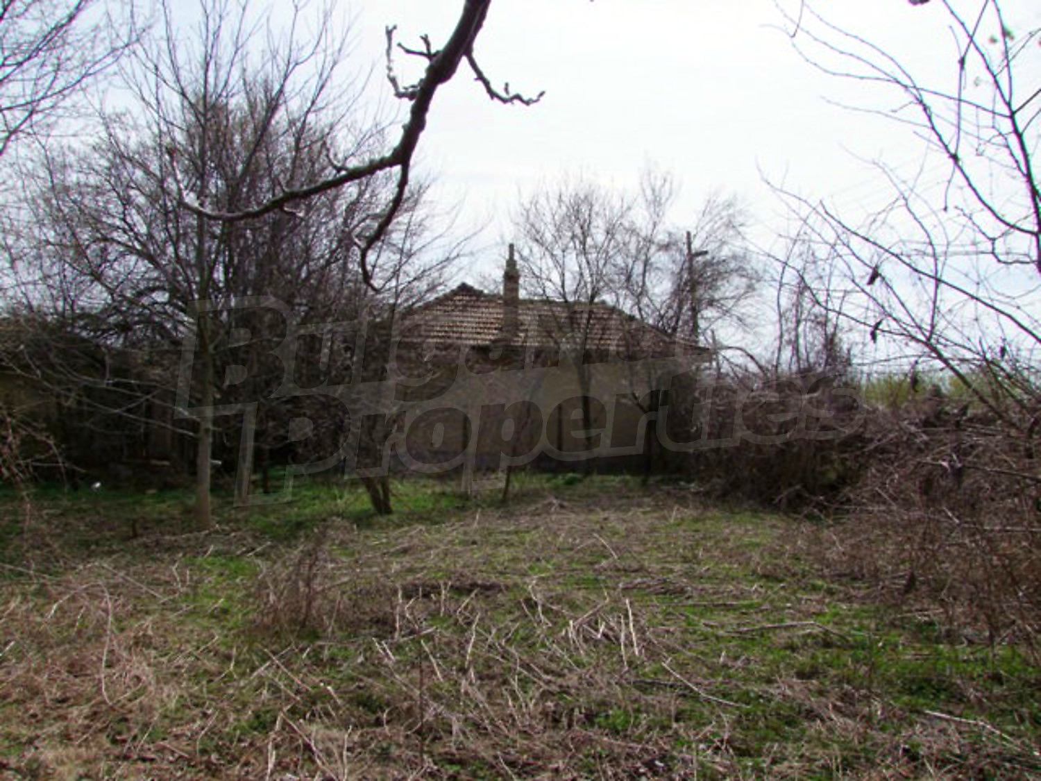 outside, facade, garden