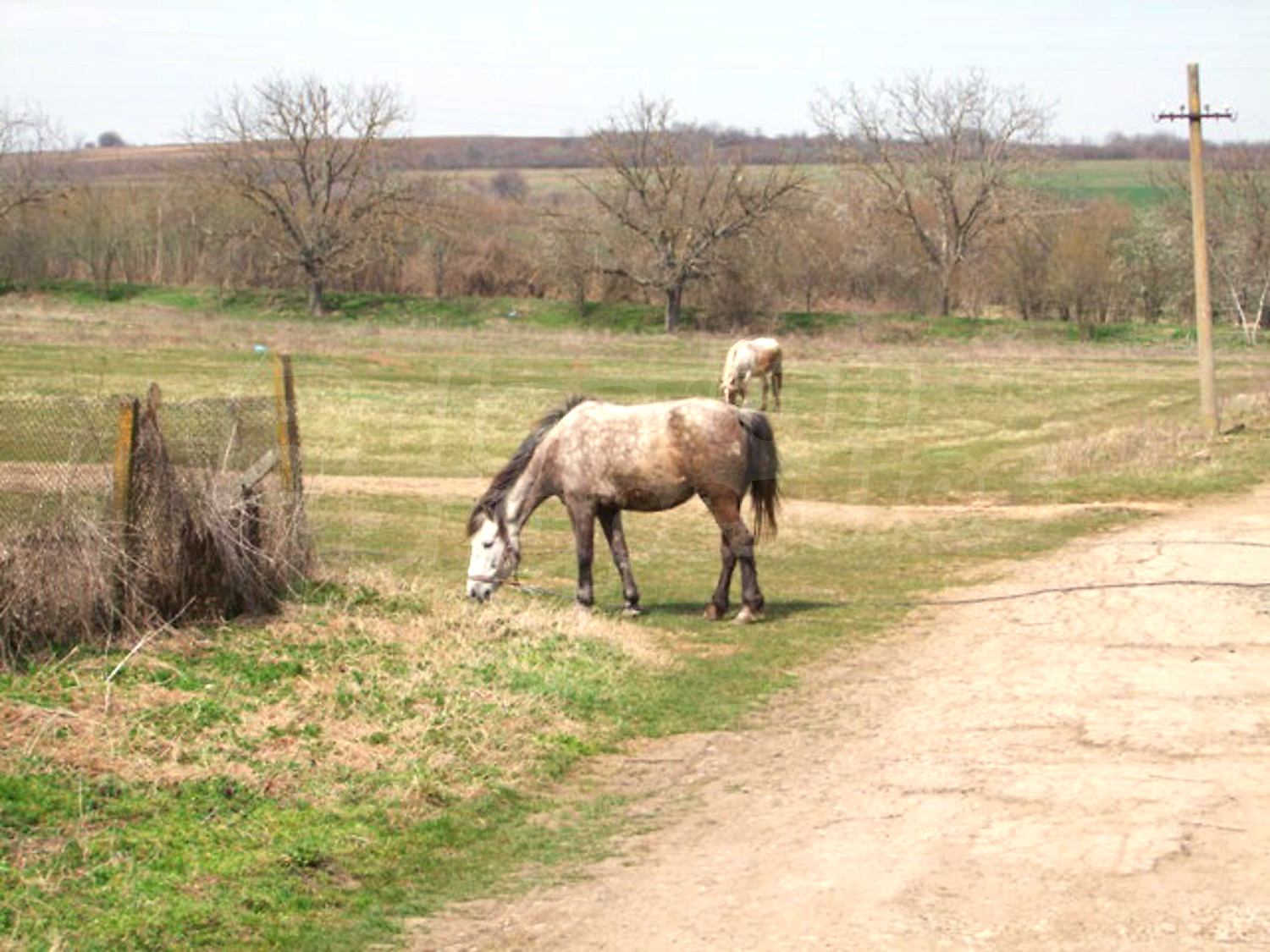 outside, green area