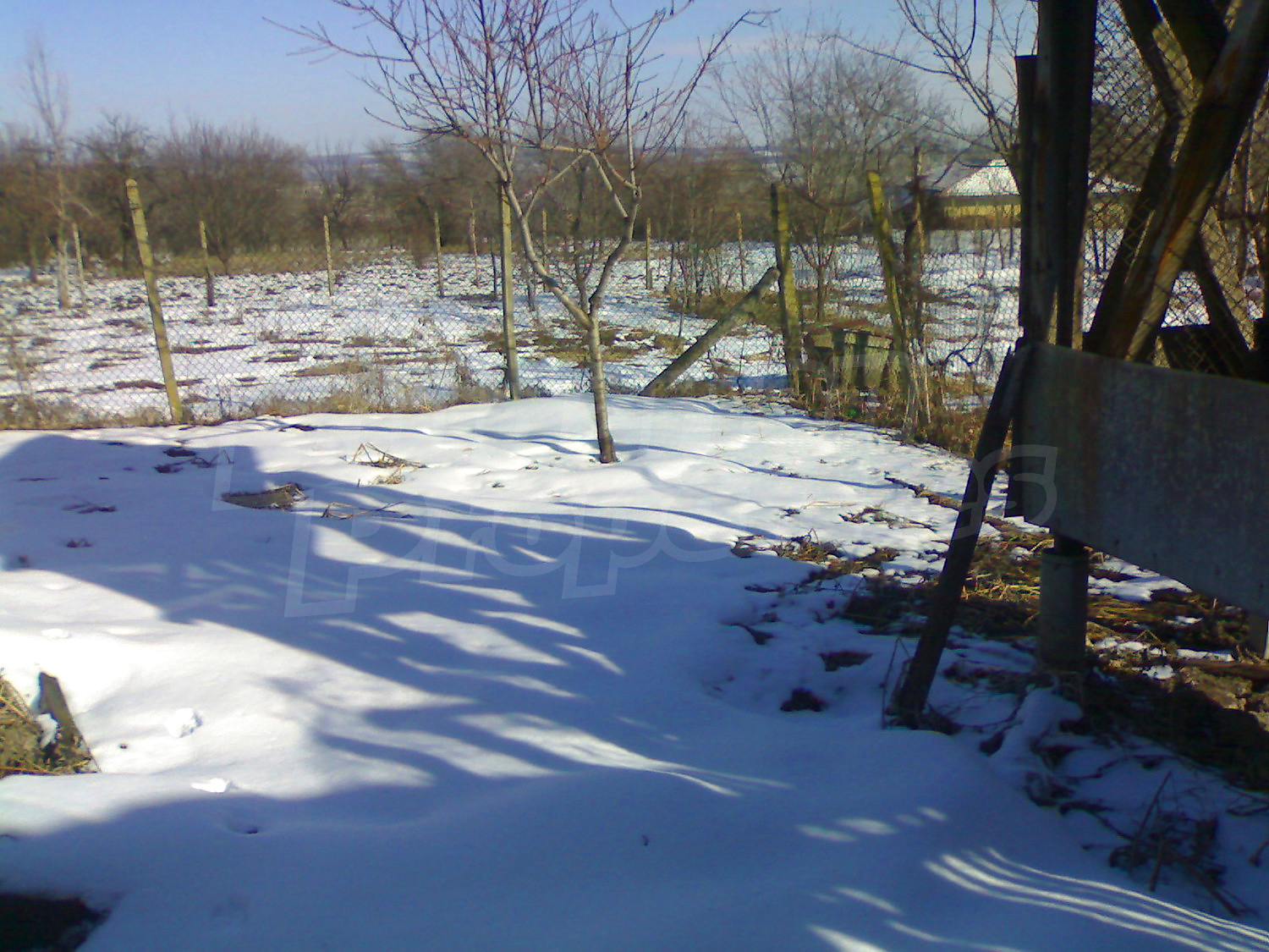 outside, garden