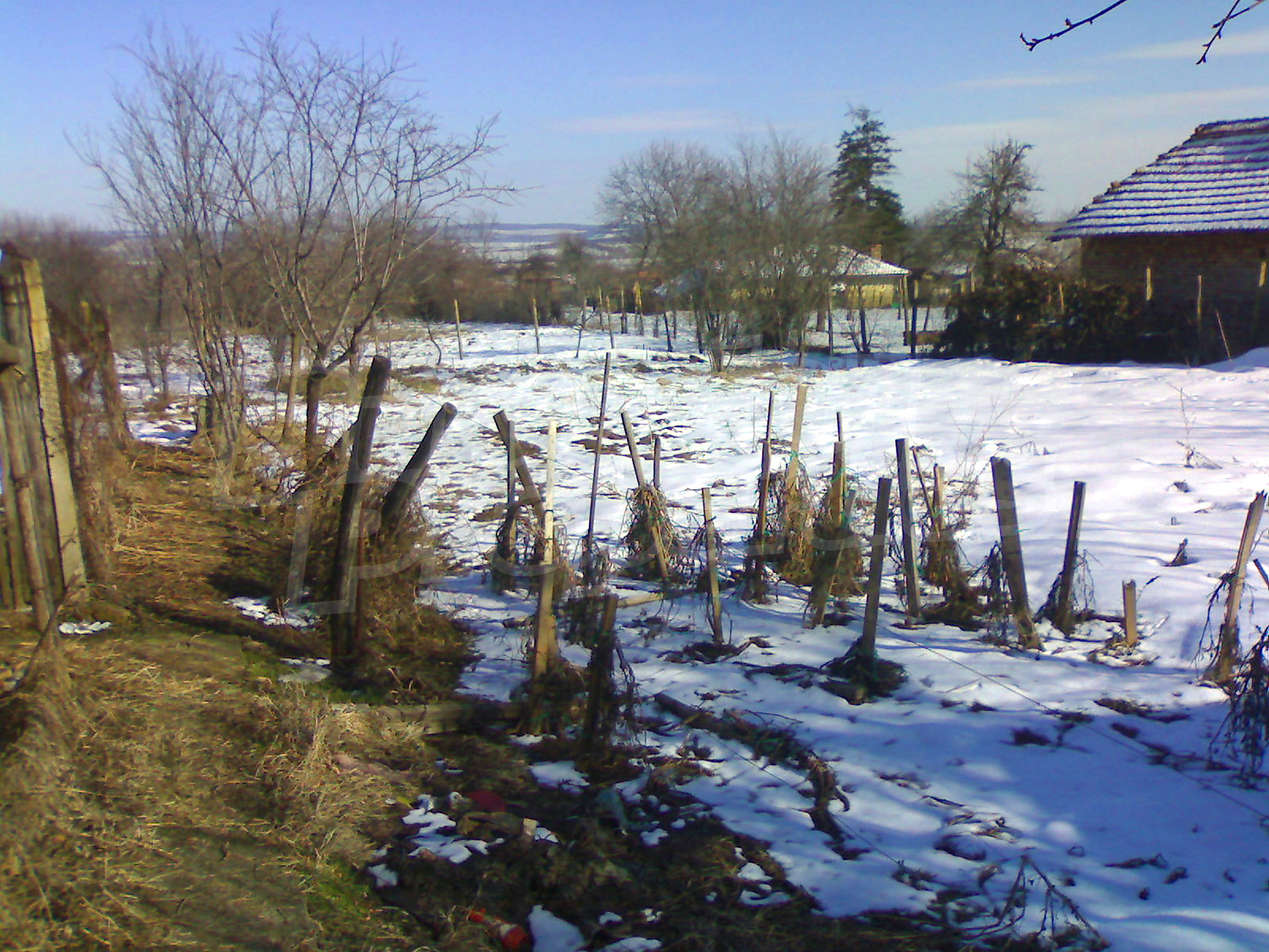 outside, garden