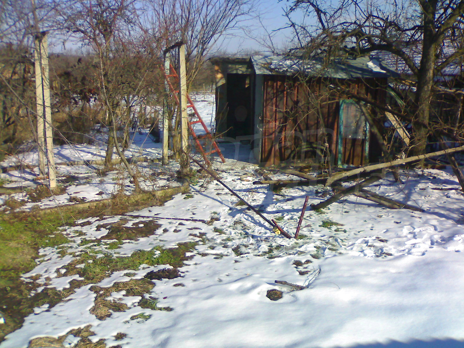 outside, garden