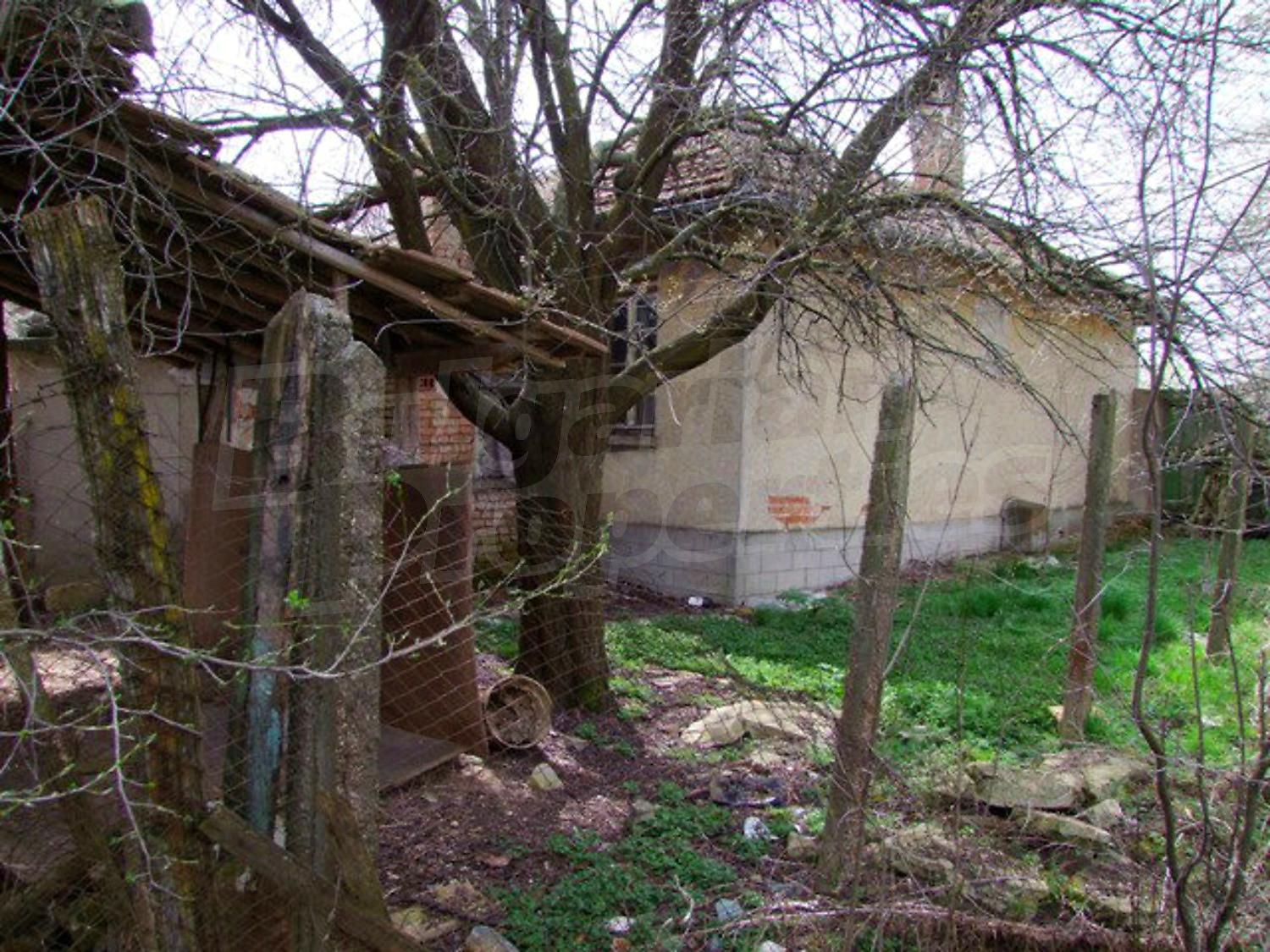 outside, facade, garden
