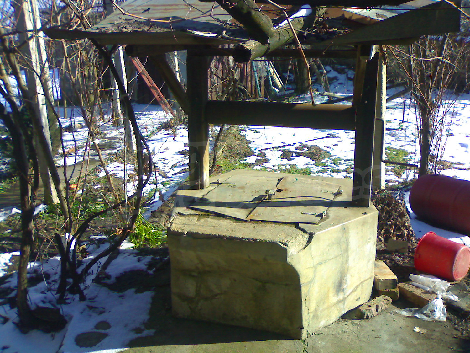 outside, garden