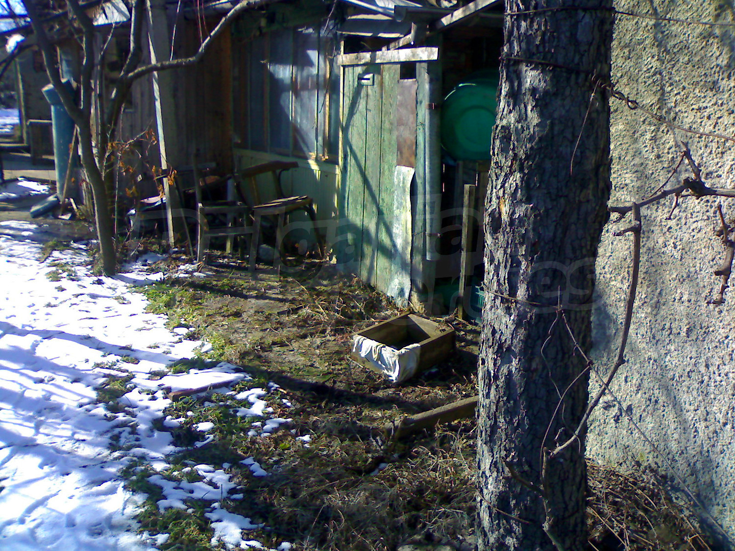 outside, garden