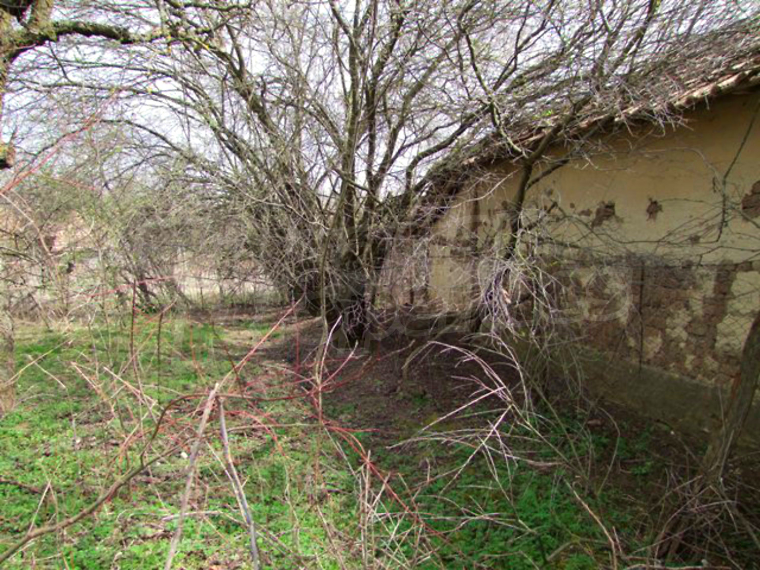 outside, facade, garden