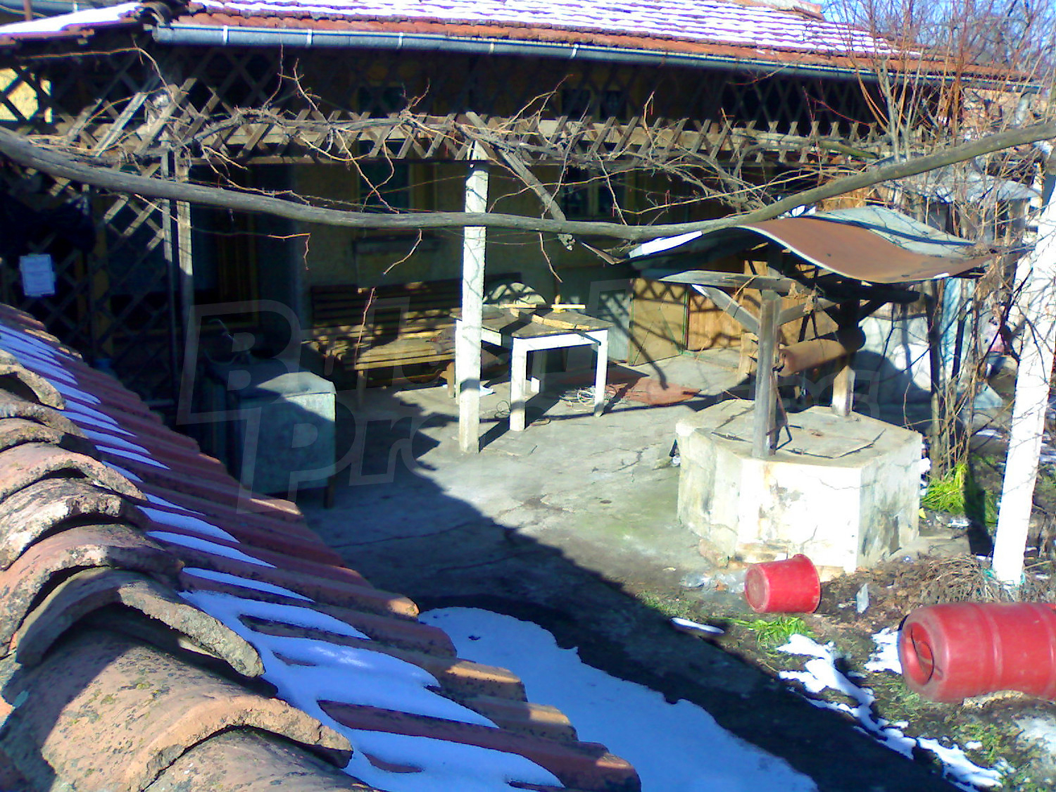 outside, garden