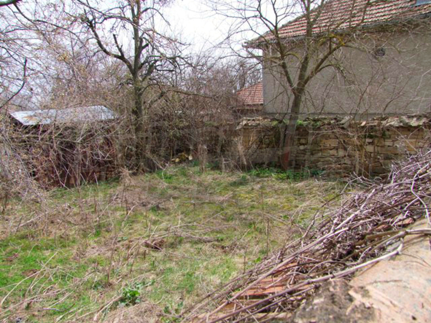 outside, garden