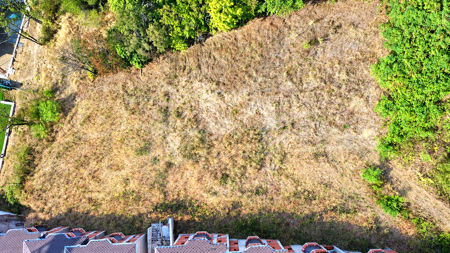 outside, green area