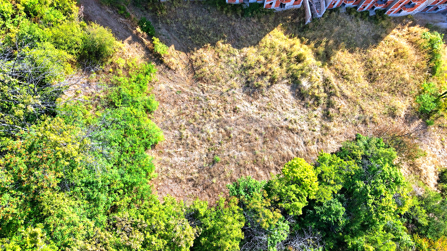 outside, green area