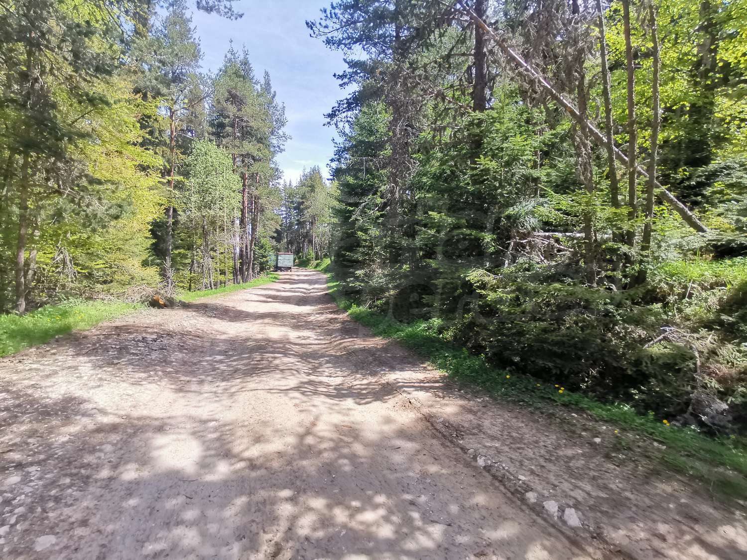 outside, green area