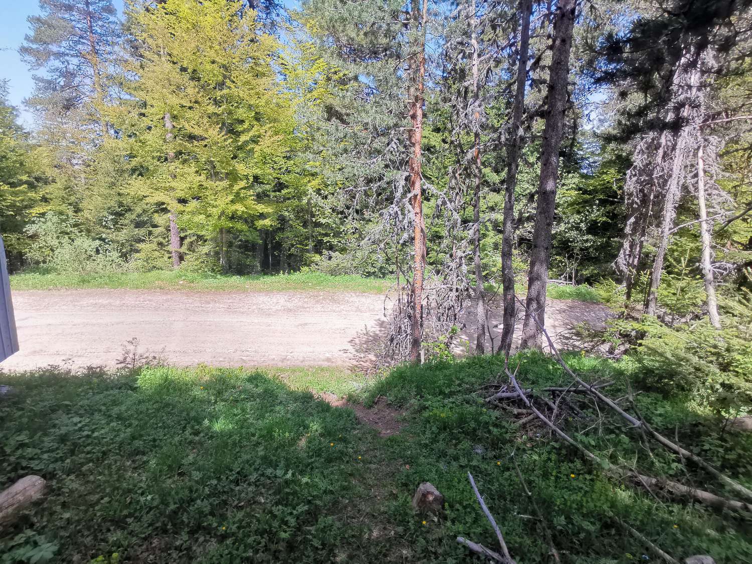 outside, green area