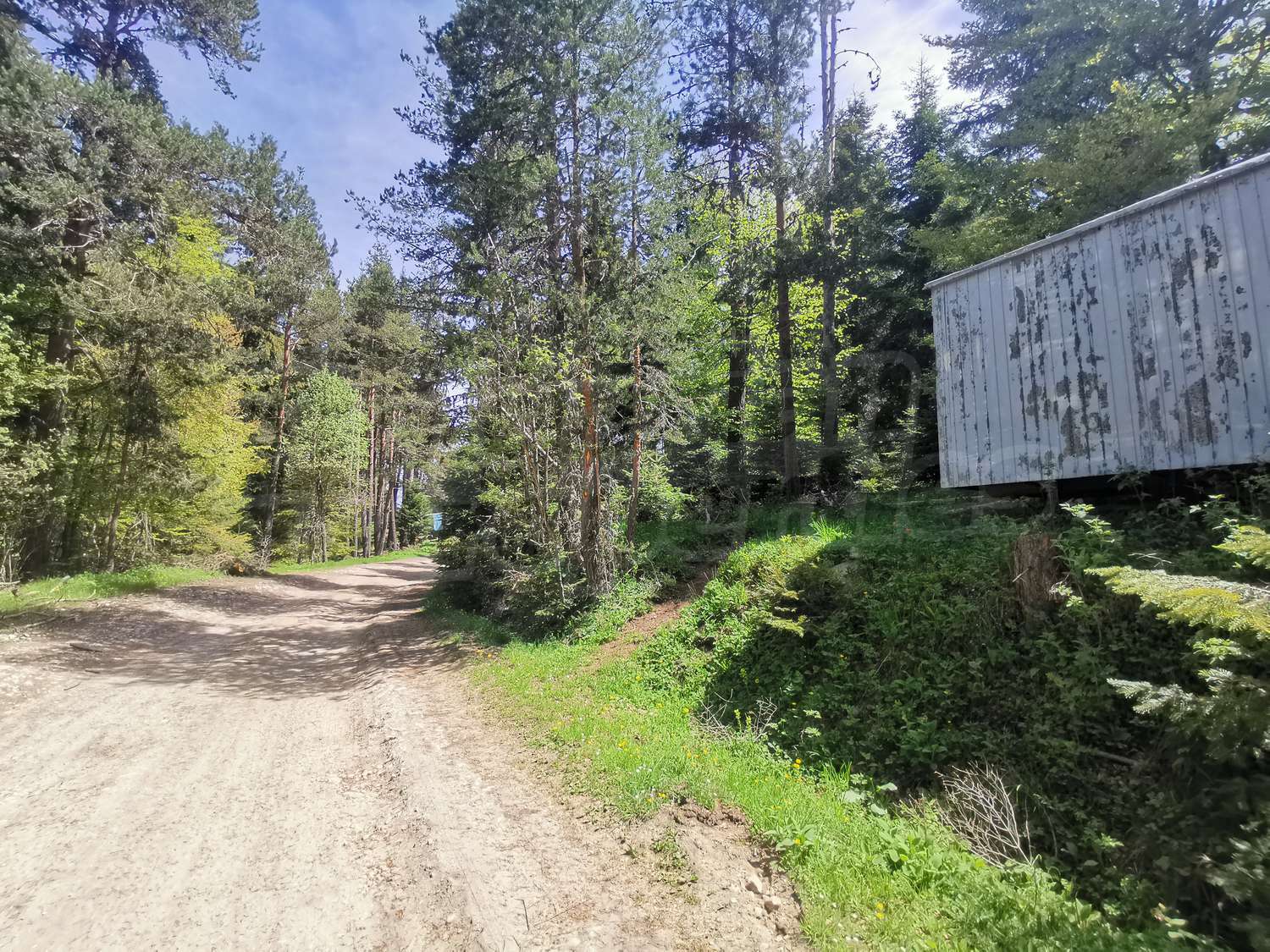 outside, green area