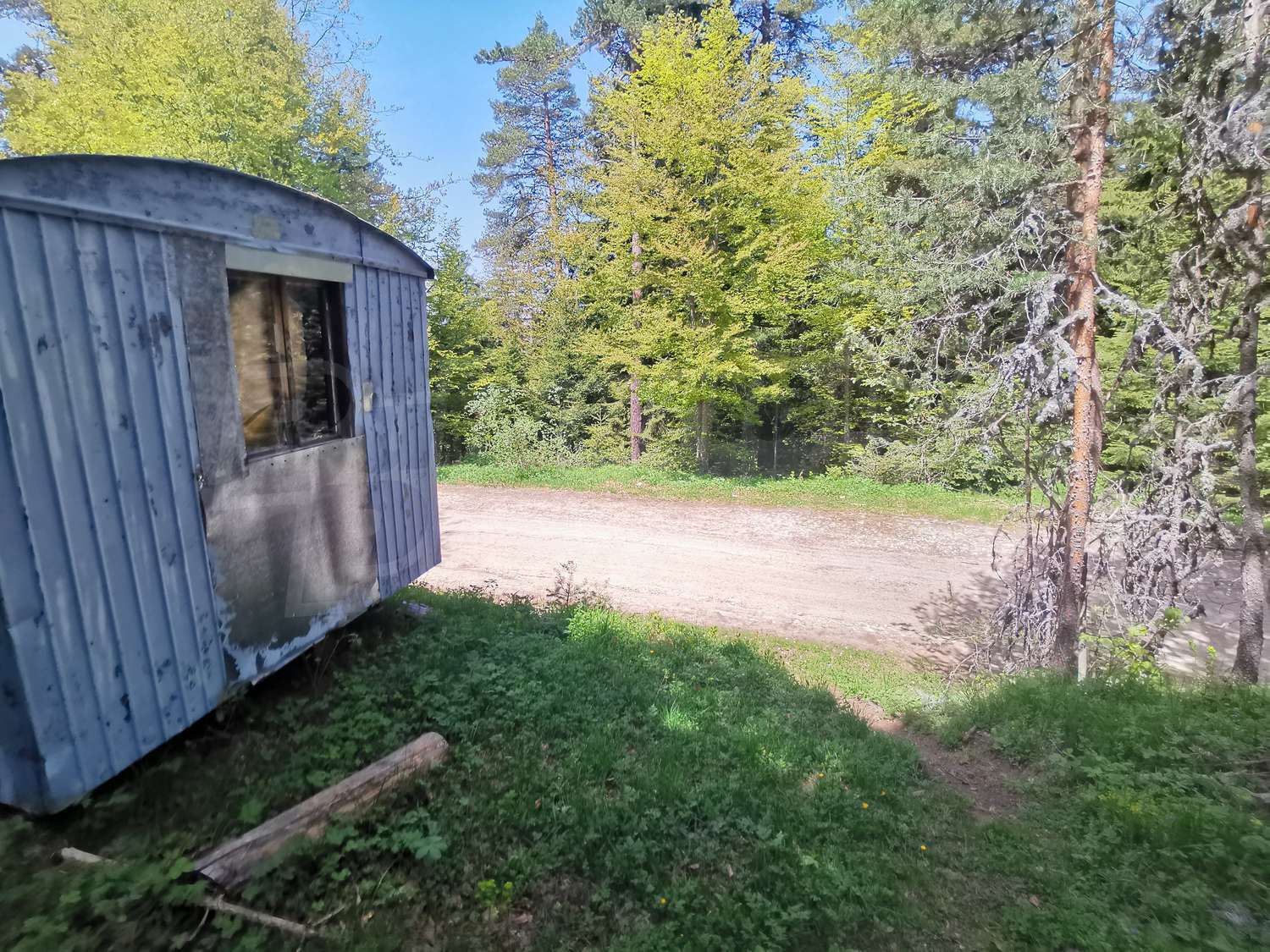 outside, green area