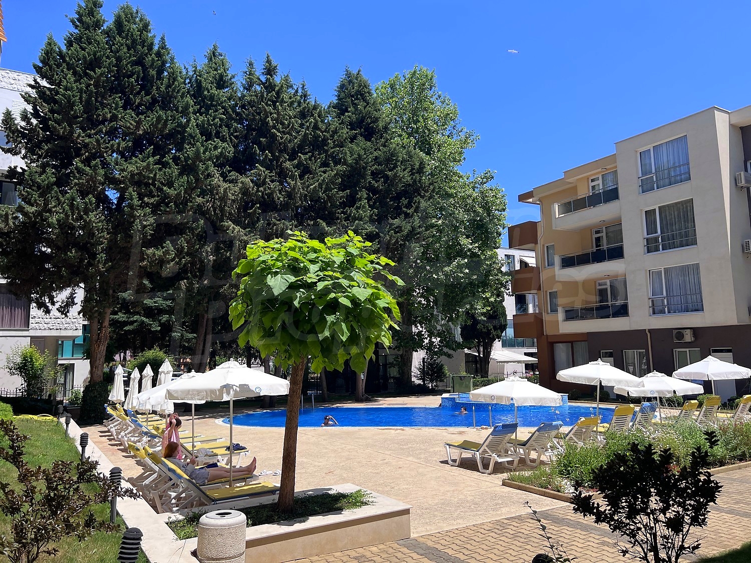 outside, pool, garden