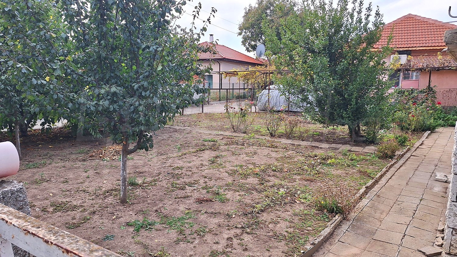 outside, garden