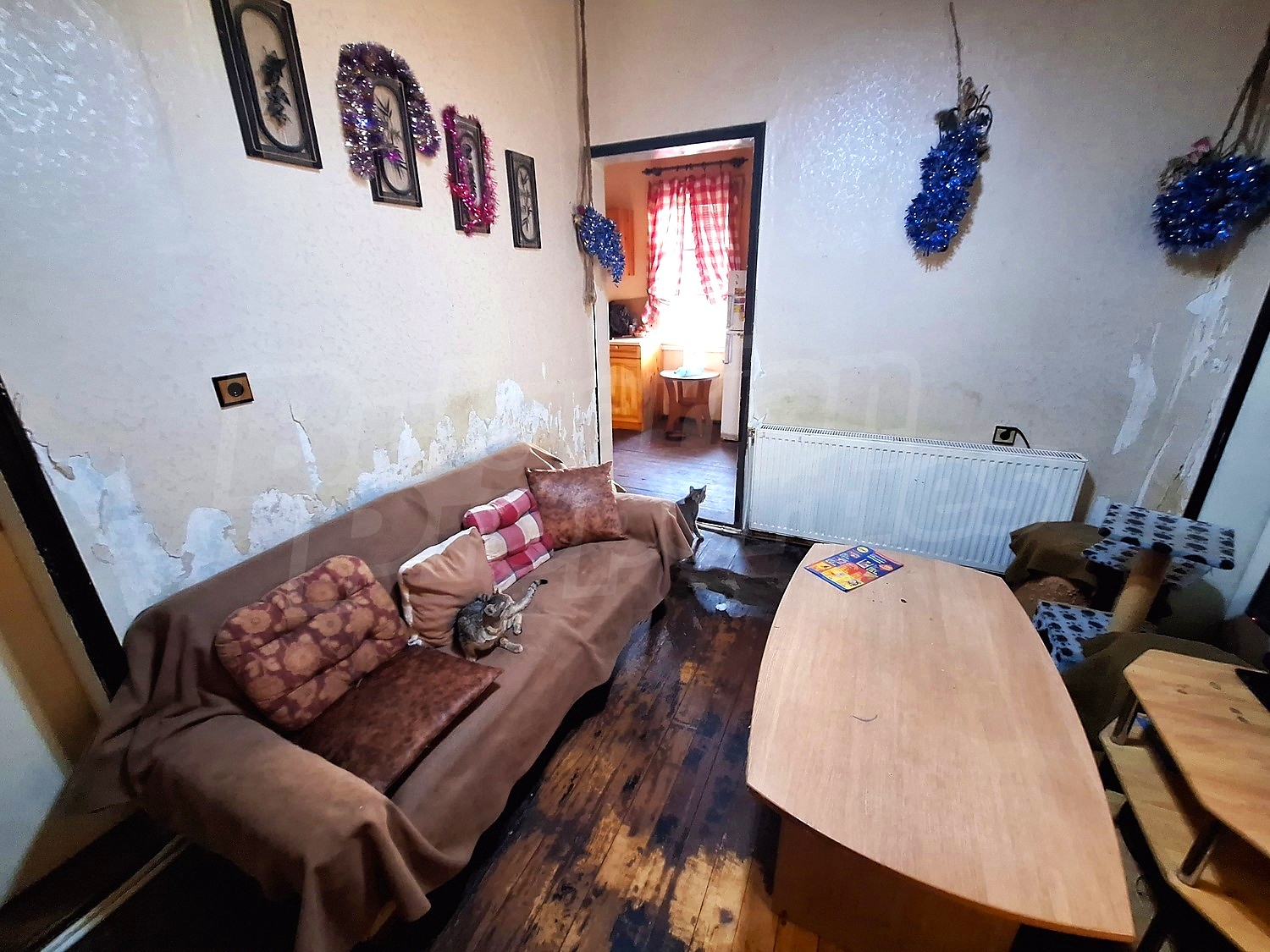 inside, living room, kitchen