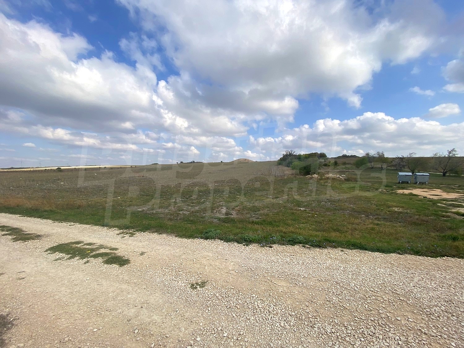 outside, green area