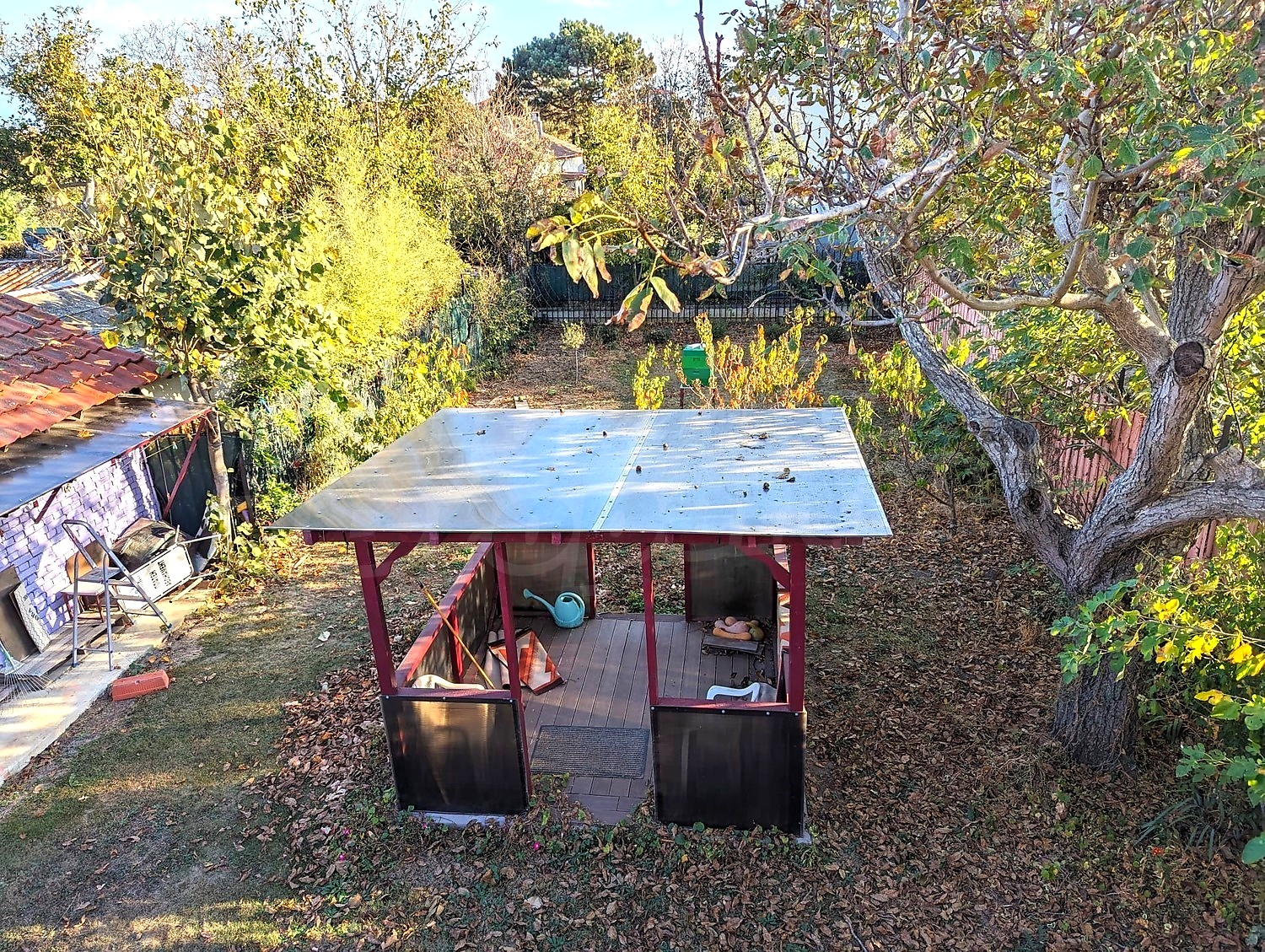 garden, outside