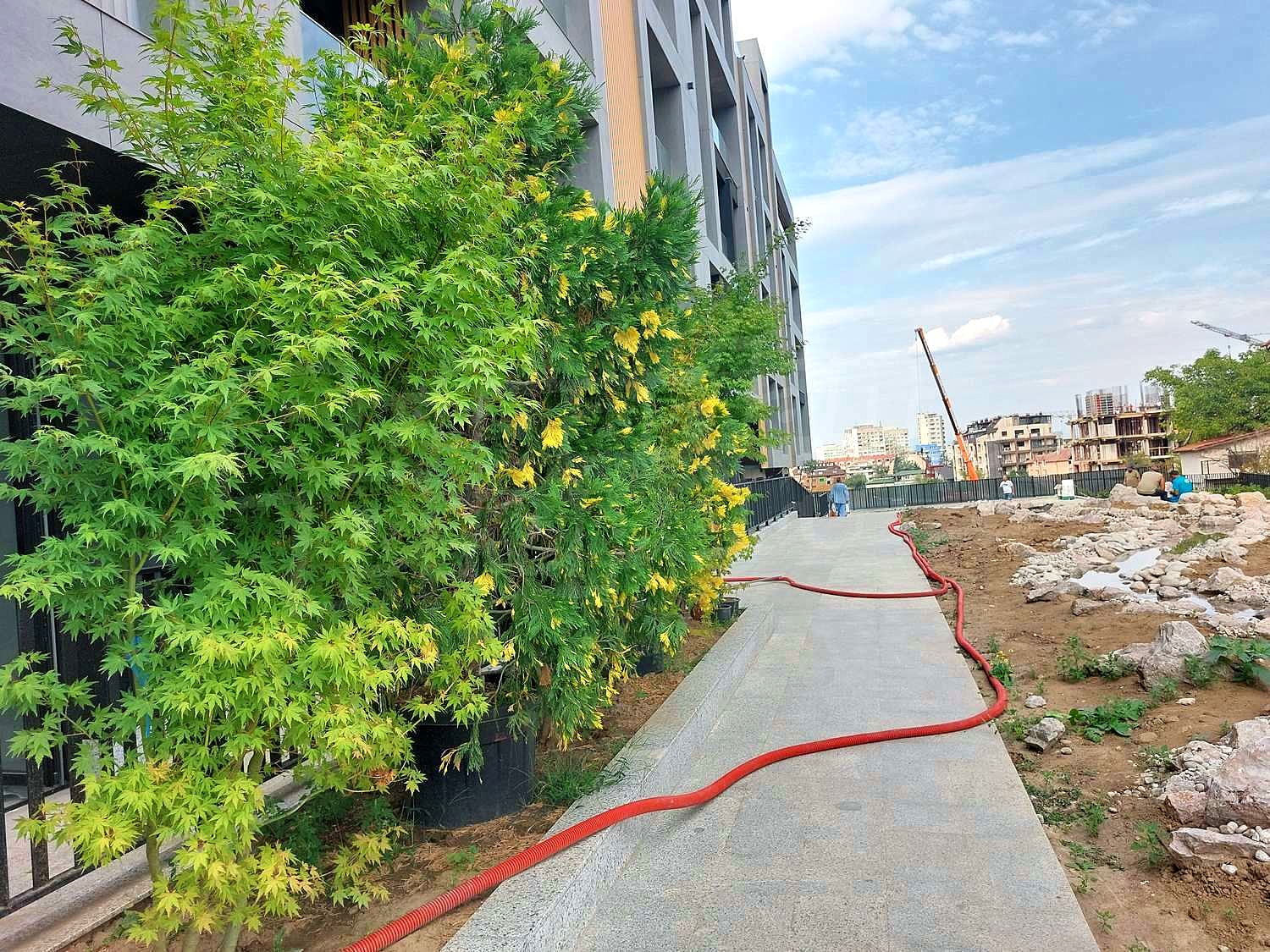 outside, facade, garden