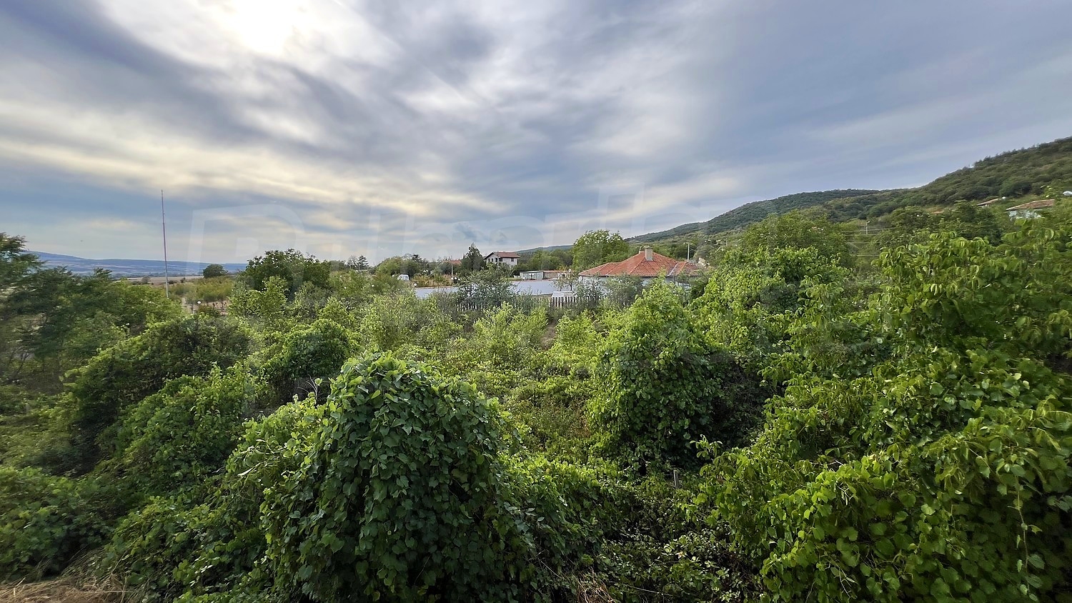outside, green area, mountain