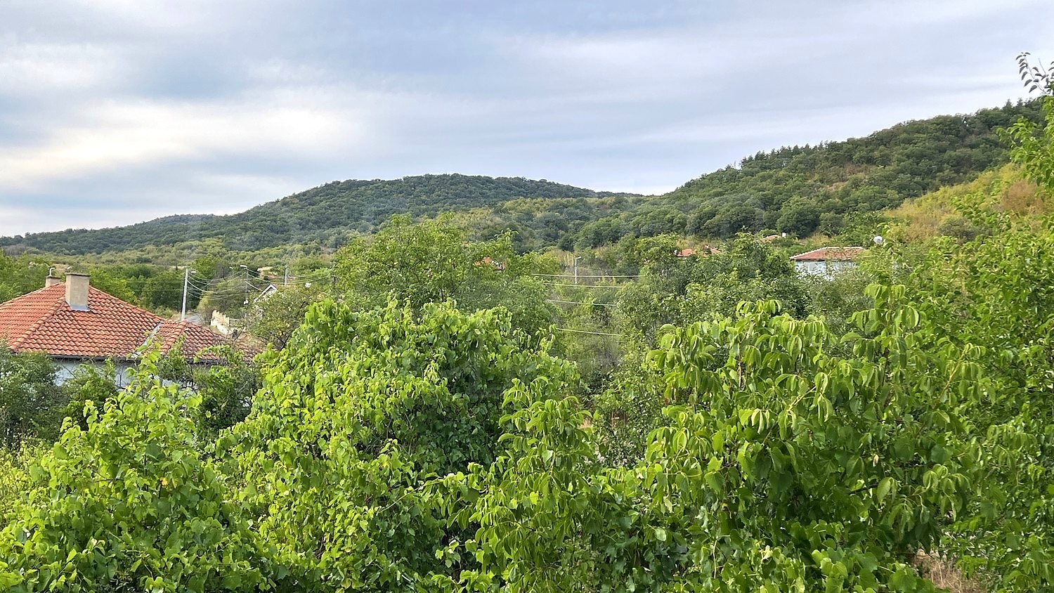 outside, mountain, green area