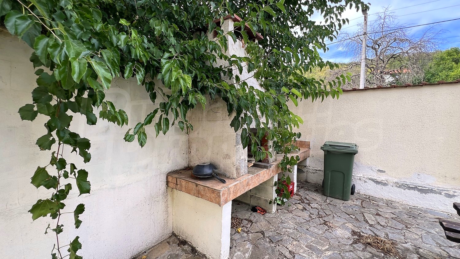 outside, garden