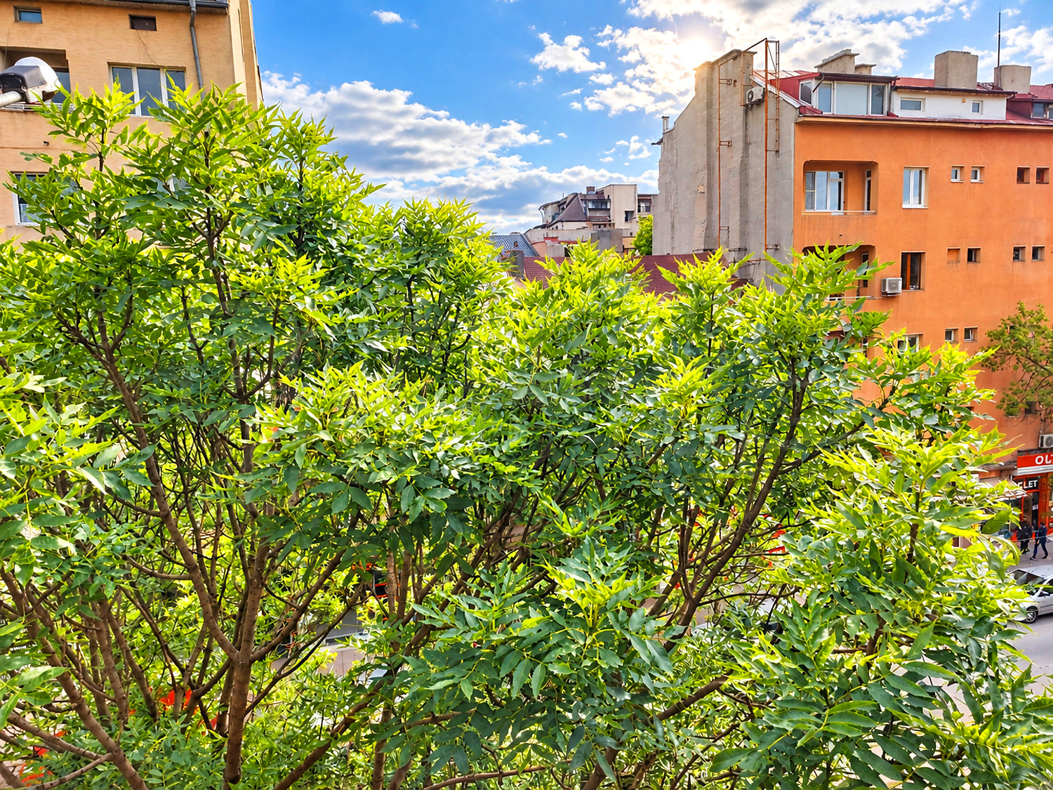 outside, facade, green area