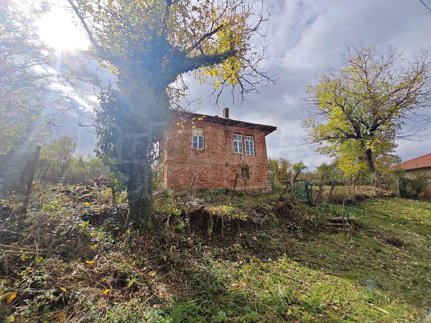 outside, facade, garden, green area