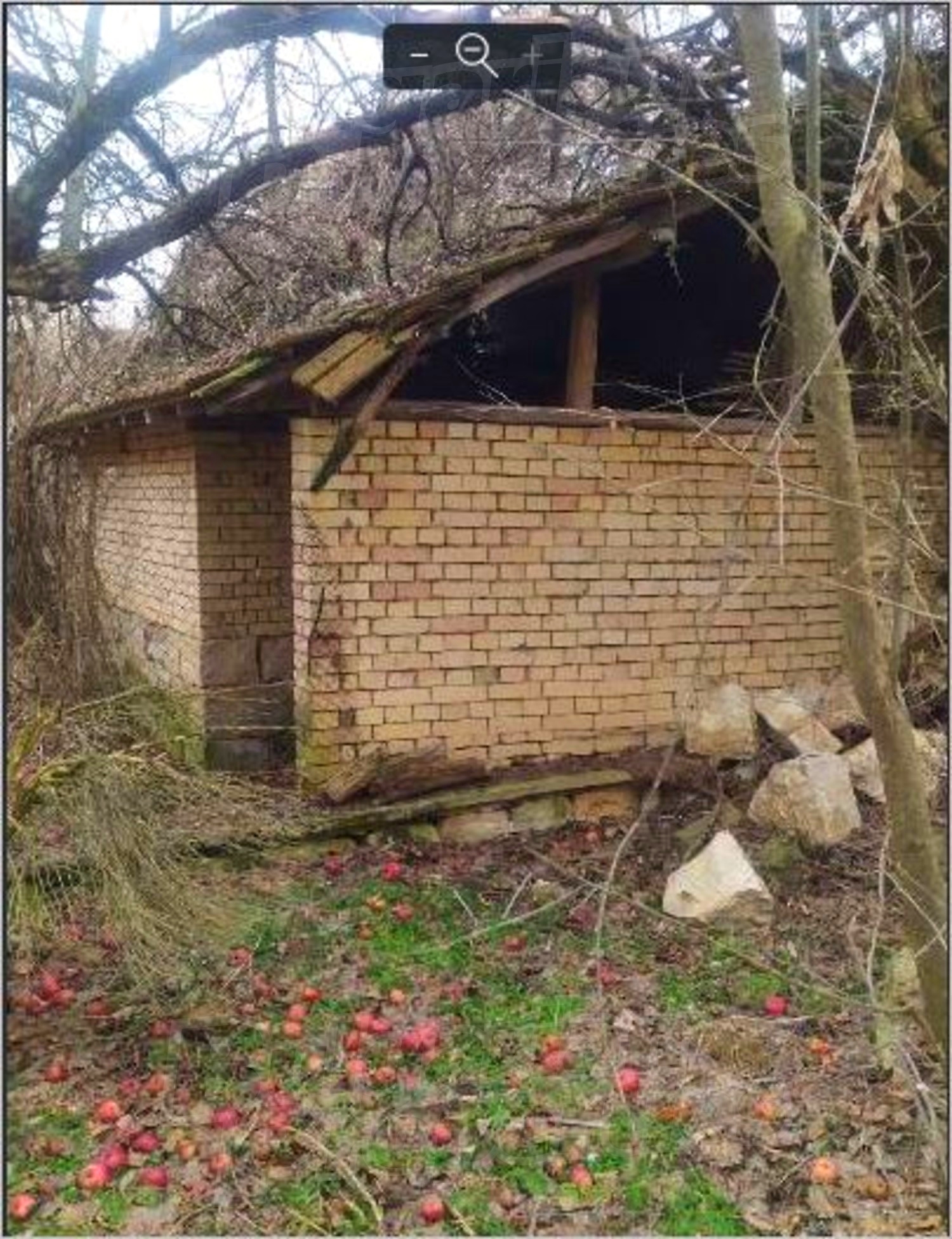 outside, garden