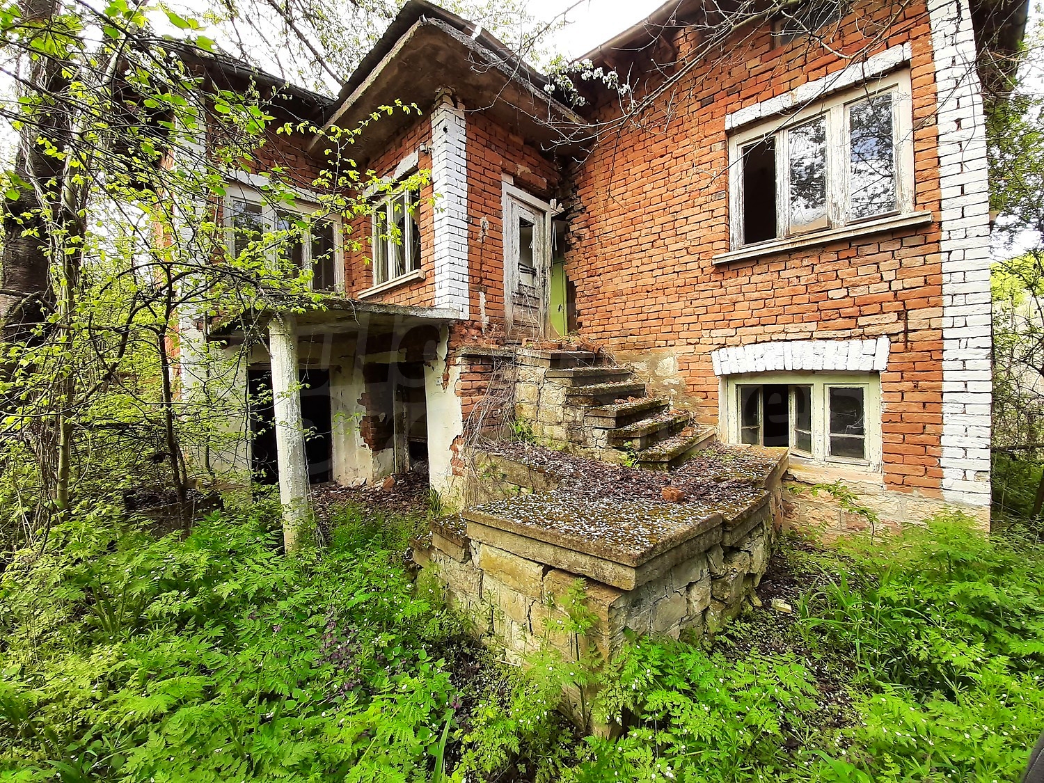 outside, facade, garden, green area