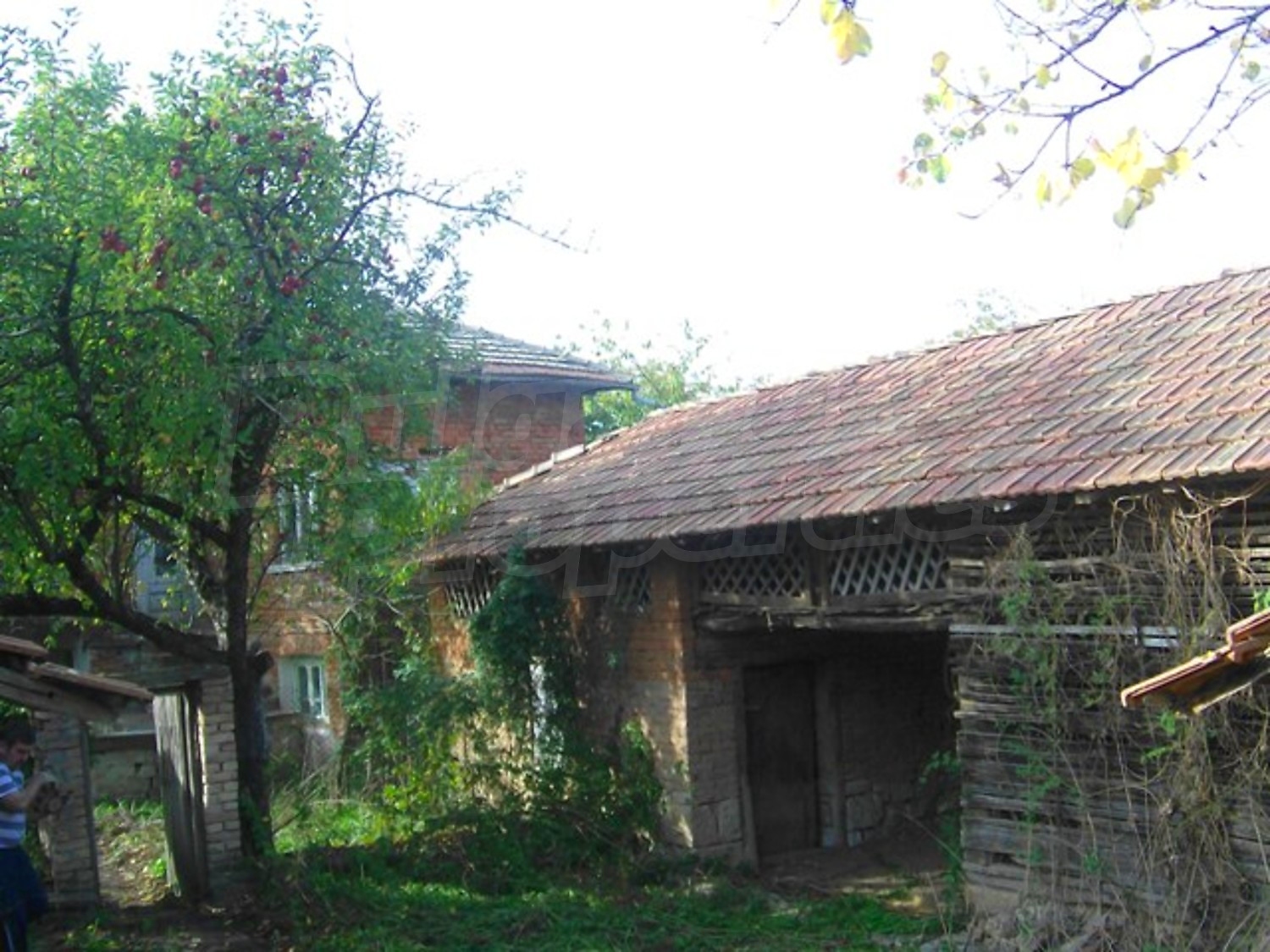 outside, garden