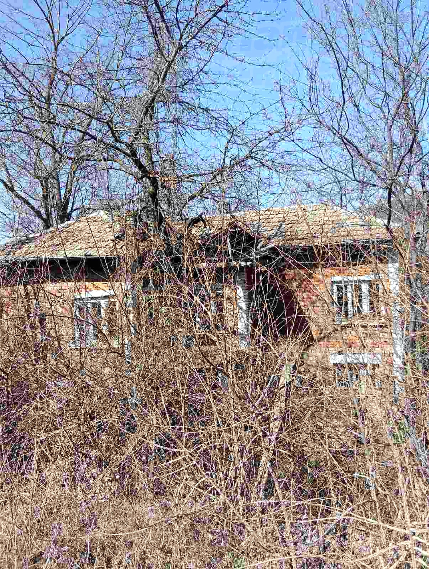 outside, facade, garden