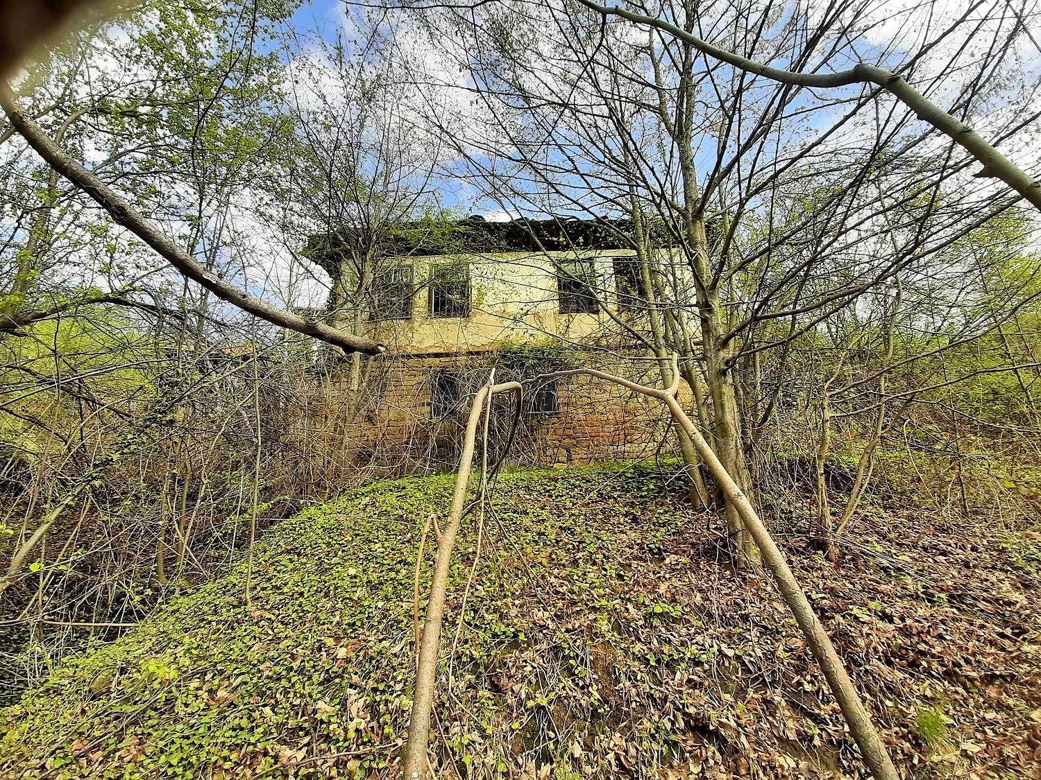 outside, facade, green area