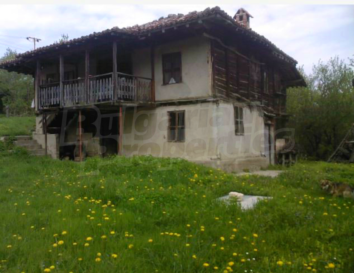 facade, garden