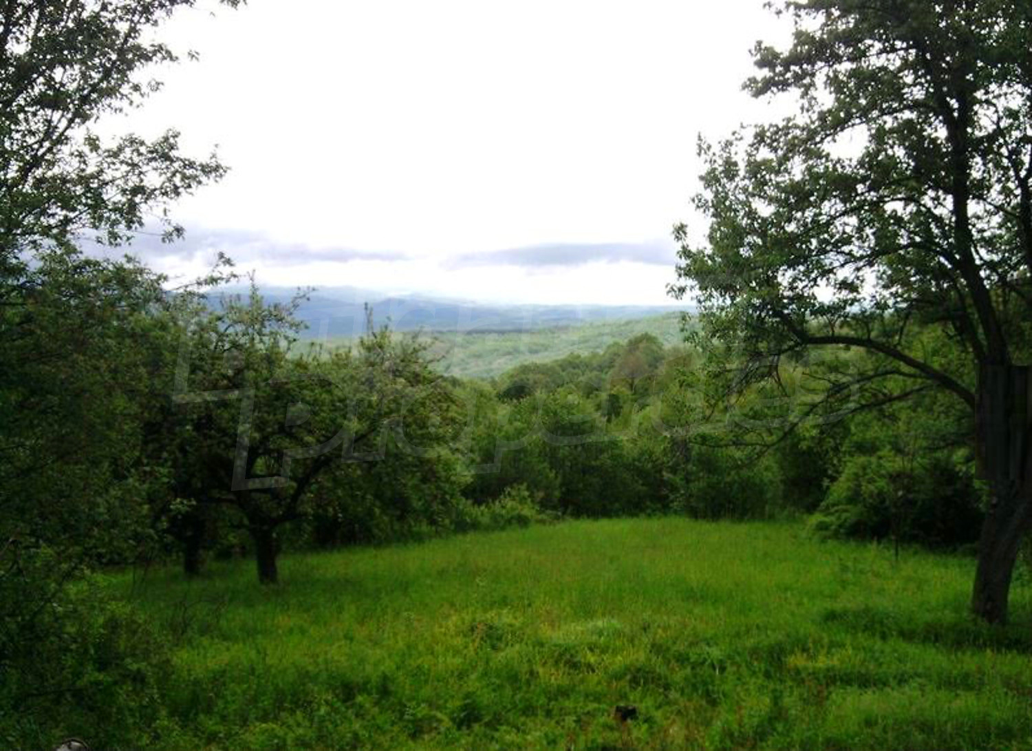 outside, green area