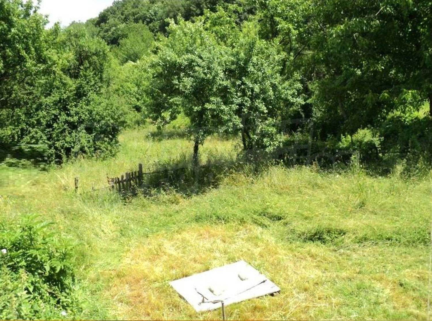 outside, garden, green area